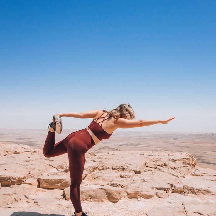 Modern gym equipment in a refined fitness space